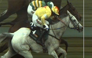 photo-finish_2193737b